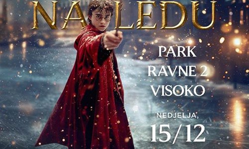 Muzičko-scenski spektakl "Harry Potter na ledu" u Visokom
