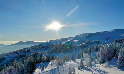 RS-u zabranjeno izvođenje investicionih radova i krčenje šume