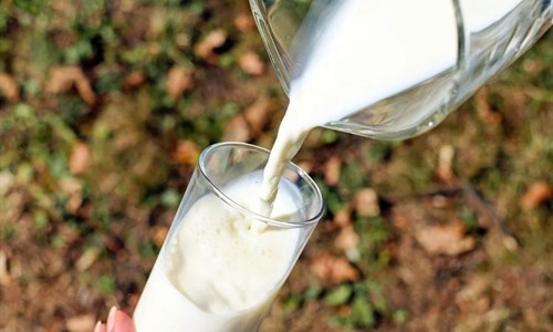 Apel poljoprivrednika FBiH: Pada otkupna cijena mlijeka