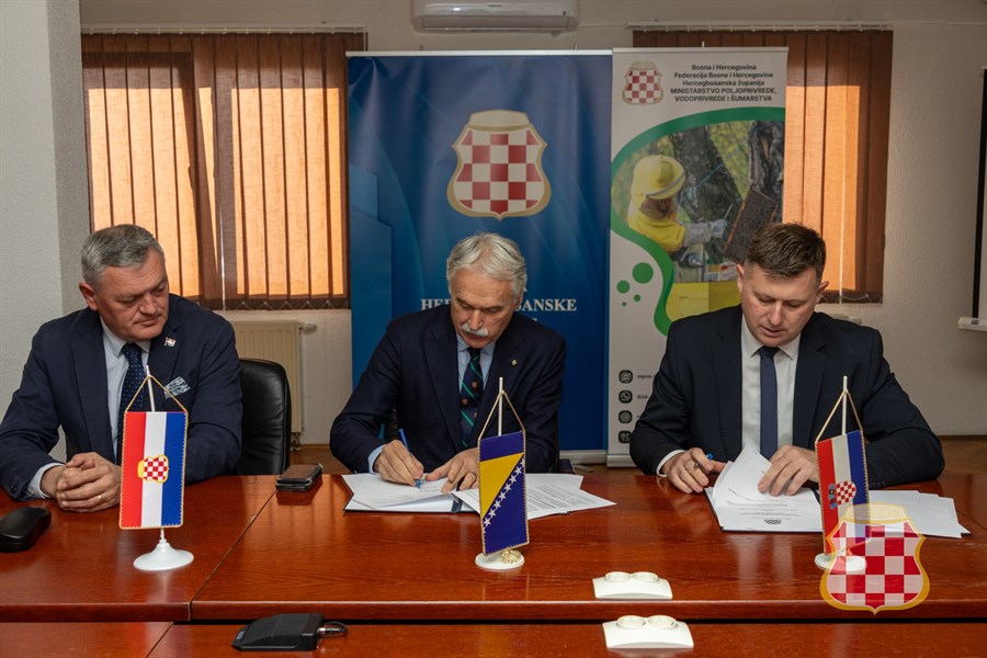 Radit će se stručna studija za zaštitu livanjskih divljih konja