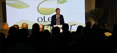 U Trebinju i okolini zasađeno oko 10 000 stabala masline