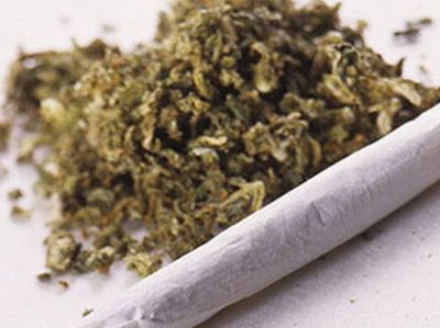 Usvojena odluka o legalizaciji kanabisa u medicinske svrhe