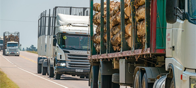 Brisel odbio prijedloge prijevoznika, slijede novi protesti