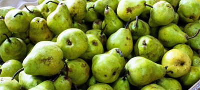 Hrvatska: Gradi se Regionalni distributivni centar za voće i povrće u Požegi