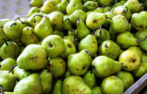 Hrvatska: Gradi se Regionalni distributivni centar za voće i povrće u...