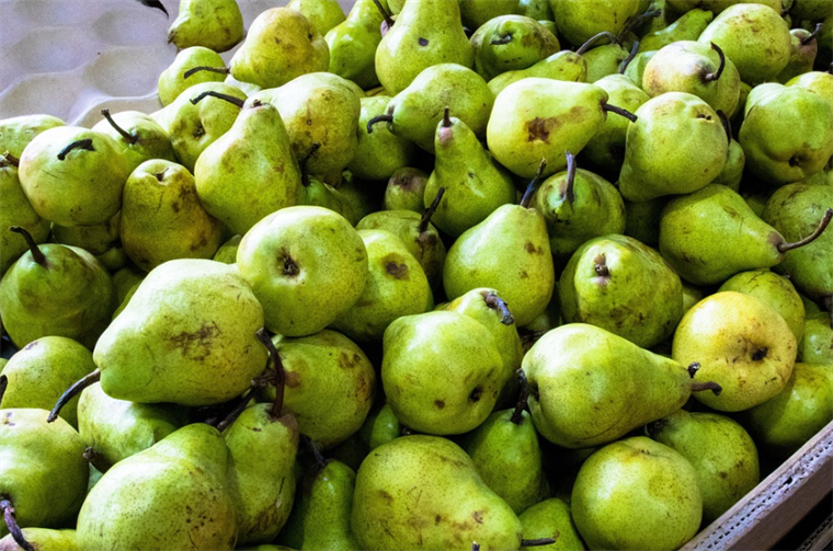 Hrvatska: Gradi se Regionalni distributivni centar za voće i povrće u Požegi