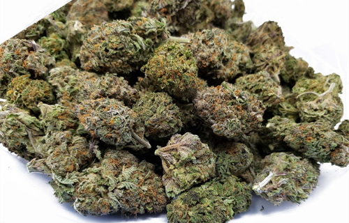 Makedonija: Šest tvrtki gubi dozvole za uzgoj marihuane