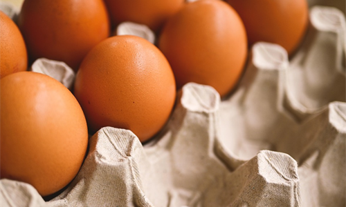 Rast izvoza jaja iz BiH u 2025. od 84 posto