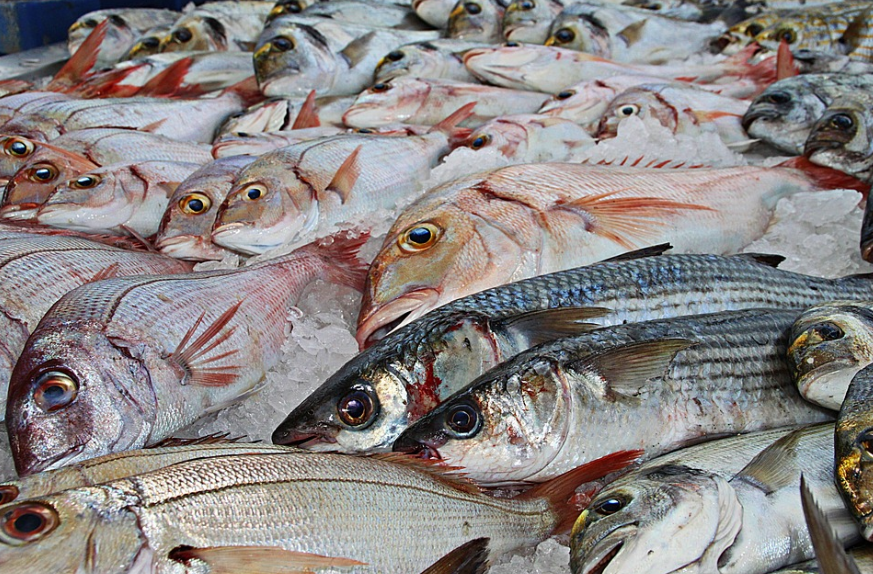 De minimis pomoć privrednim subjektima: Po firmi i do milion i po KM