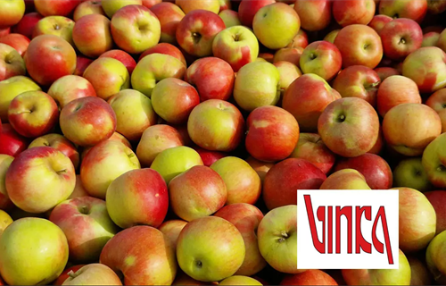 Fortenova prodala svoju posljednju poljoprivrednu tvrtku