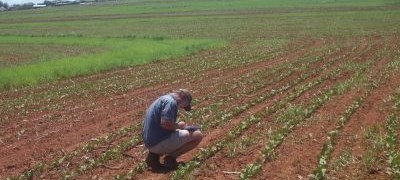 Vlada FBiH: 2,5 miliona litara dizela iz rezervi za poljoprivrednike