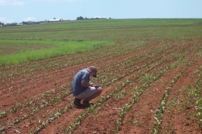 Vlada FBiH: 2,5 miliona litara dizela iz rezervi za poljoprivrednike