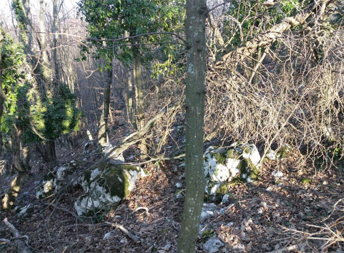 Ekološka dozvola po presudi za eksploataciju kamena-krečnjaka