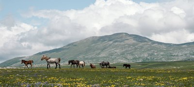 Nakon građana i vijećnici u Livnu kazali "ne" vjetroelektranama