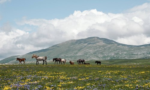 Nakon građana i vijećnici u Livnu kazali "ne" vjetroelektranama