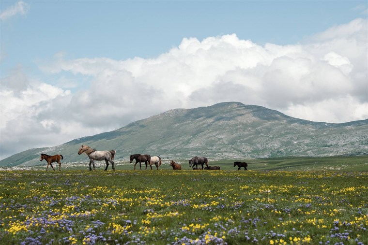 Nakon građana i vijećnici u Livnu kazali "ne" vjetroelektranama