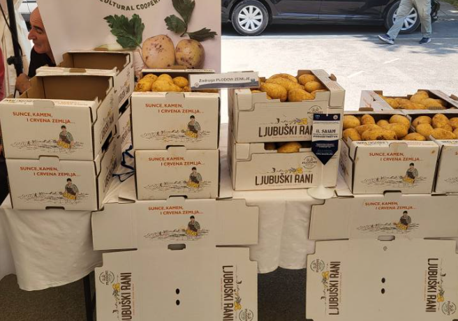 Ljubuški rani krompir bilježi prosječan urod, cijene niže nego lani