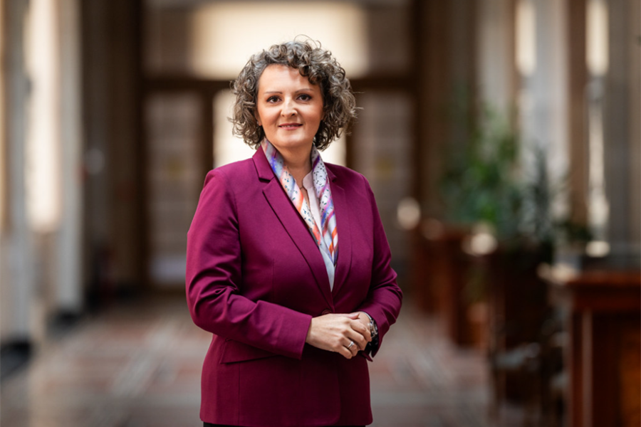 Guvernerka Selimović: Instant plaćanje u BiH od 20. jula