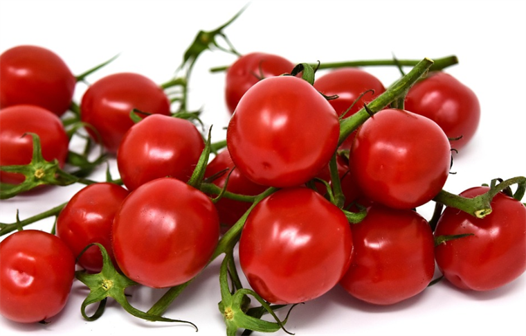 Cherry paradajz u Hrvatskoj košta i do 15 eura po kilogramu