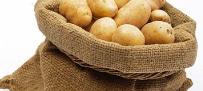 Sve spremno za gradnju fabrike za preradu krompira u Rogatici