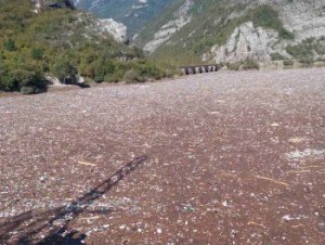Elektroprivreda BiH u Rimu: Lekcije za kritične situacije