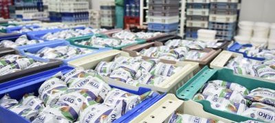 Razlog srbijanske zabrane uvoza mlijeka nepoznat, šteta milionska