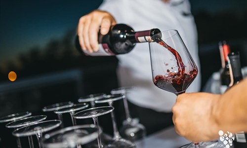 U Ljubuškom slavili neotkriveni potencijal vinske sorte trnjak