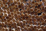 Jedna od najvećih zapljena ilegalnih cigareta u Hrvatskoj