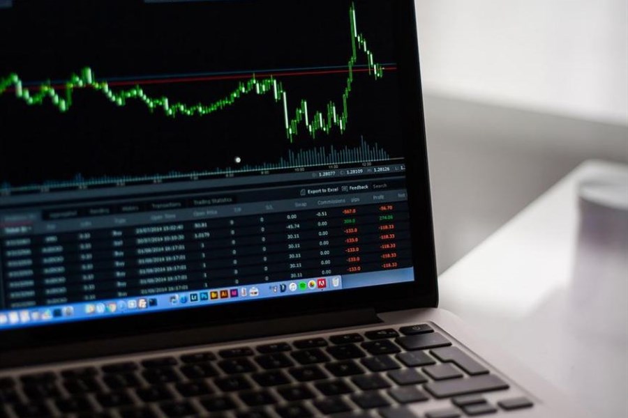 Pad cijene dionica ZIF Prof Plus