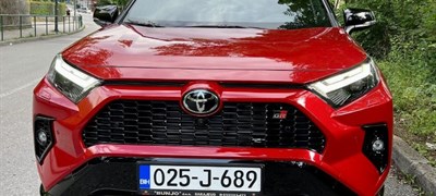 Hibridi nižim troškovima osvajaju i domaće kupce