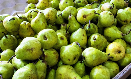 Hrvatska: Gradi se Regionalni distributivni centar za voće i povrće u...