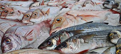 De minimis pomoć privrednim subjektima: Po firmi i do milion i po KM