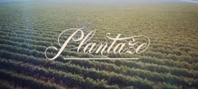 Plantaže prodaju zemljište za 12 miliona eura