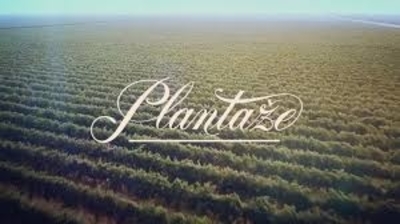 Plantaže prodaju zemljište za 12 miliona eura