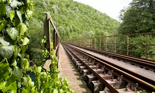 Turistički voz Bihać – Bosanska Krupa uskoro u funkciji