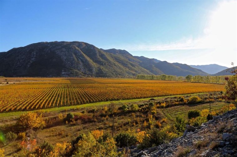 Promjene u vlasništvu trebinjskog Agrofina