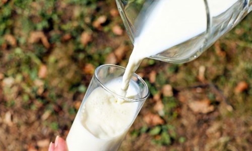 BiH uvozi 250.000 litara mlijeka iz Crne Gore